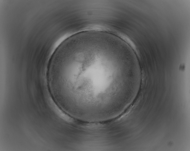 X0000093141091200709261420