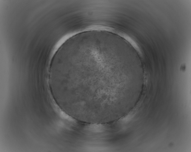 X0000093141094200709261420