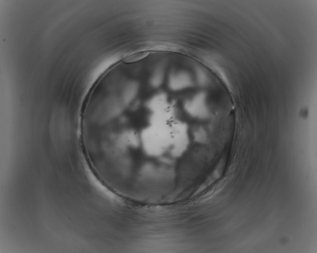 X0000093141095200709261420