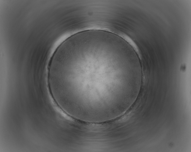 X0000093141096200709261420