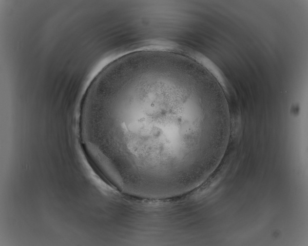 X0000093141099200709261419