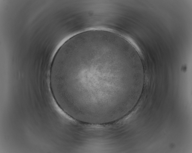 X0000093141100200709261419