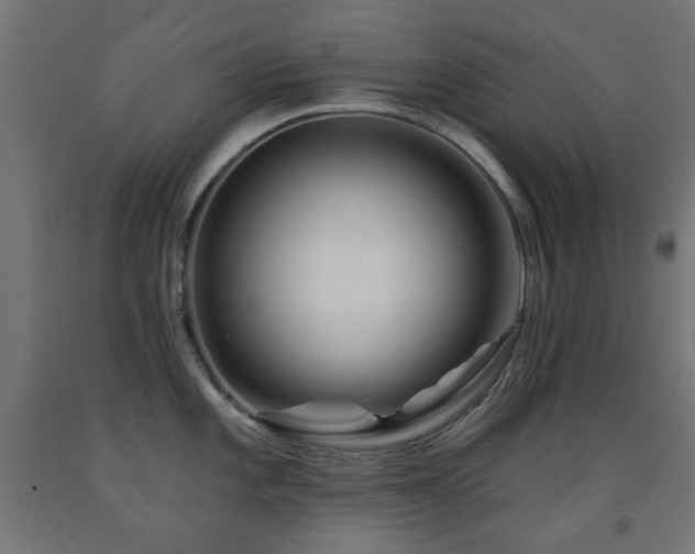 X0000093141101200709261419