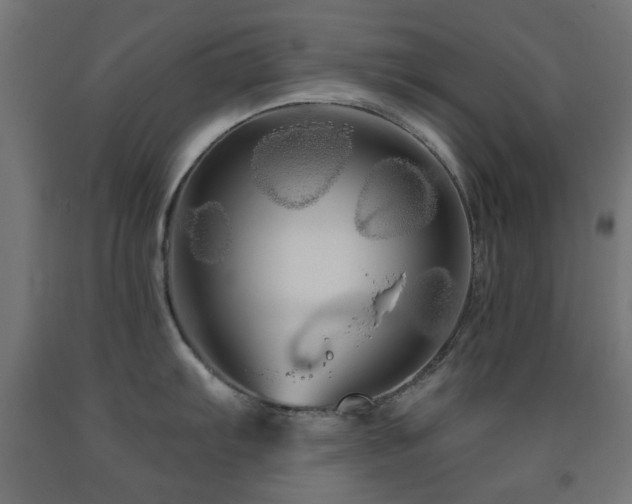 X0000093141103200709261419