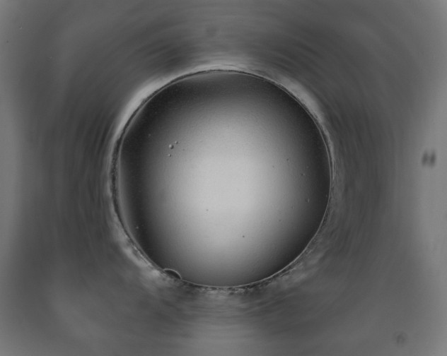 X0000093141104200709261419