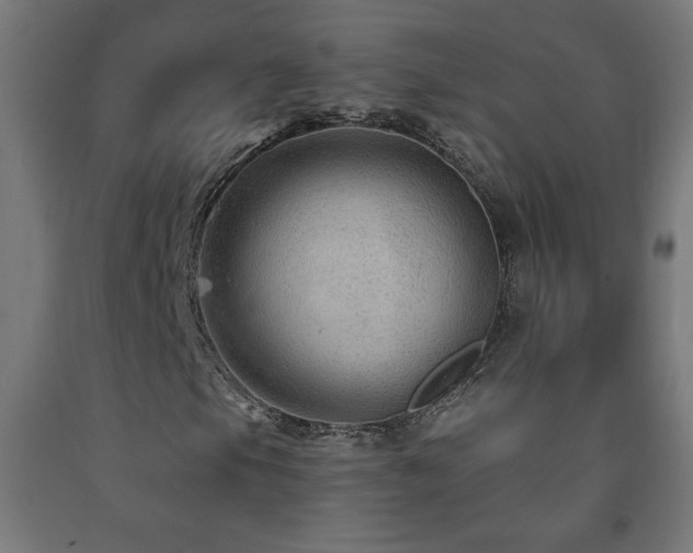 X0000093141105200709261419