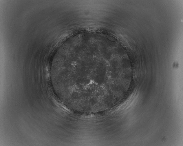 X0000093141106200709261419