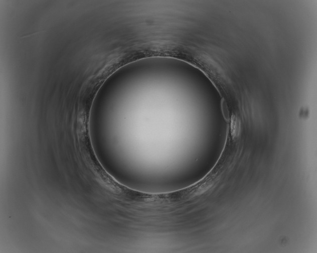 X0000093141107200709261419