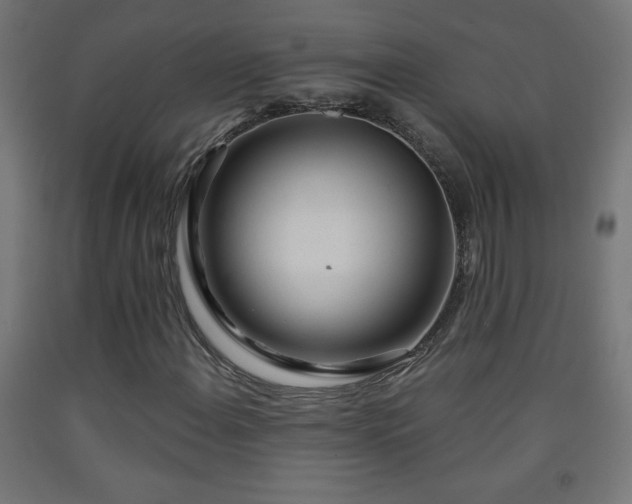 X0000093141108200709261419