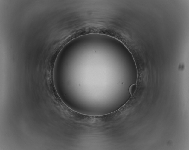 X0000093141109200709261419