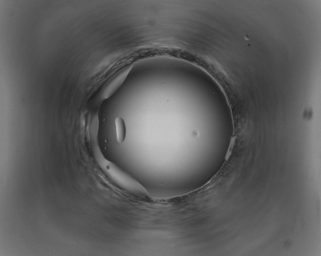 X0000093141110200709261419