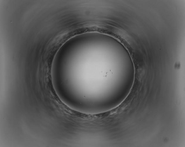 X0000093141111200709261419