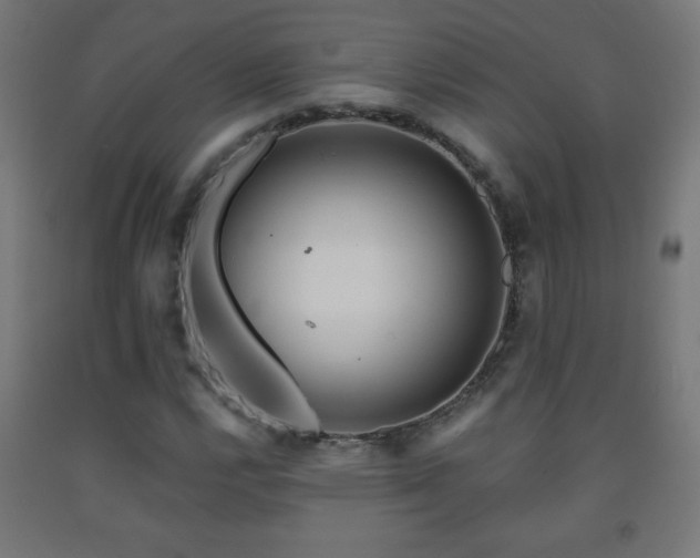 X0000093141112200709261419