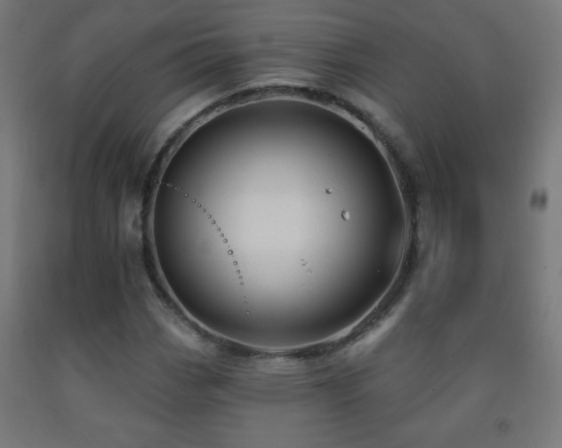 X0000093141113200709261419