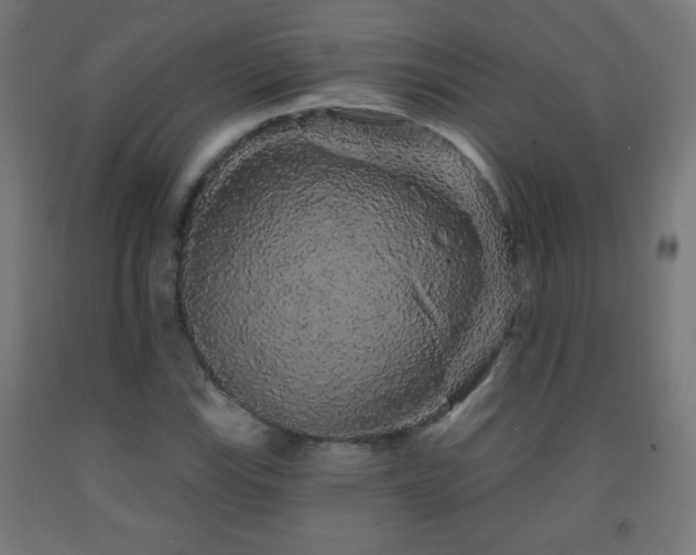 X0000093141115200709261419
