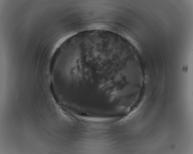 X0000093141117200709261419