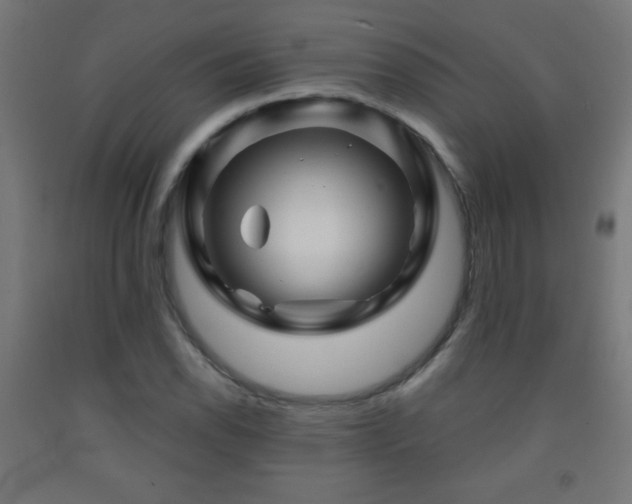 X0000093141118200709261419