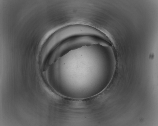 X0000093141120200709261419