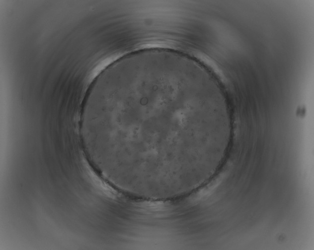 X0000093141121200709261419