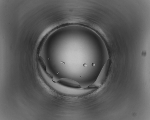 X0000093141122200709261419