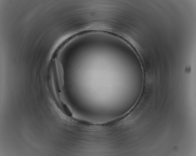 X0000093141123200709261419