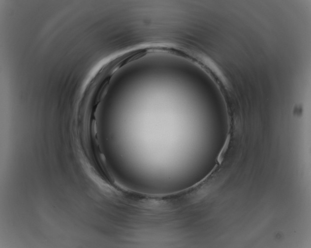 X0000093141124200709261419