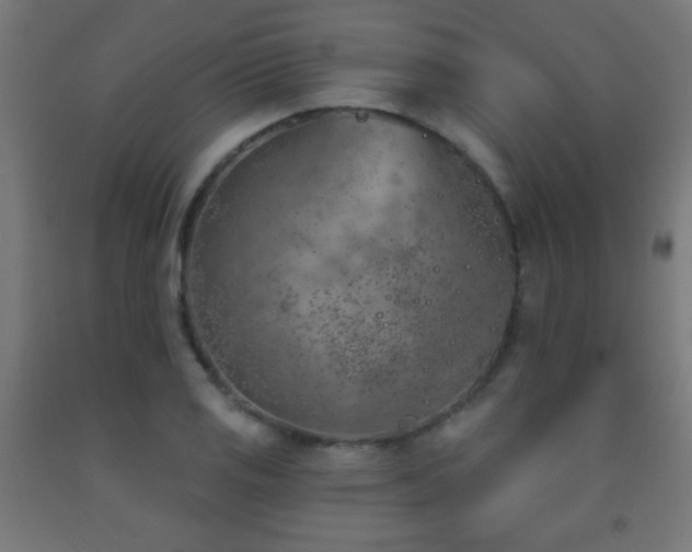 X0000093141125200709261419
