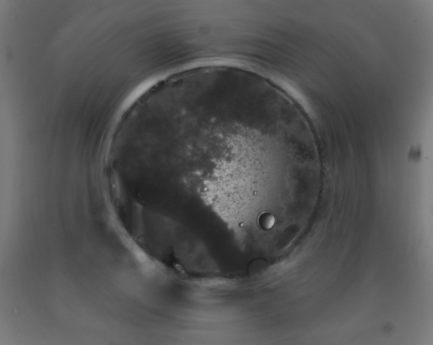 X0000093141127200709261419