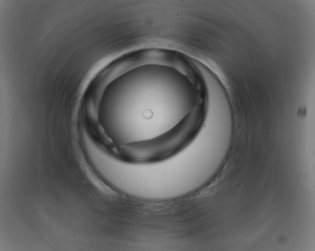 X0000093141128200709261419