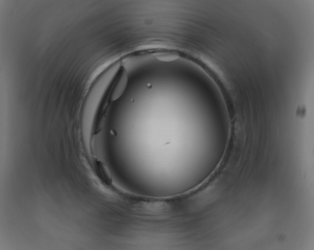 X0000093141129200709261419