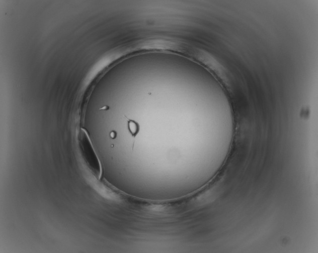 X0000093141130200709261419