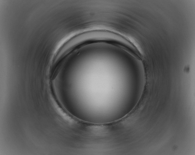 X0000093141134200709261419