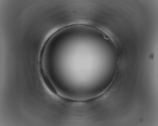 X0000093141135200709261419