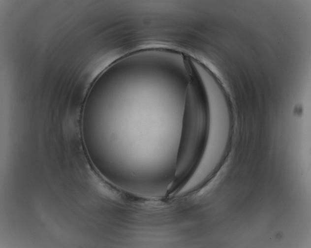 X0000093141137200709261419