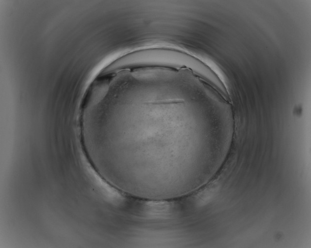 X0000093141142200709261419