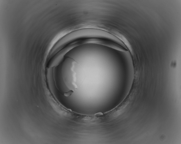 X0000093141146200709261419