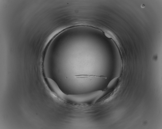 X0000093141149200709261419