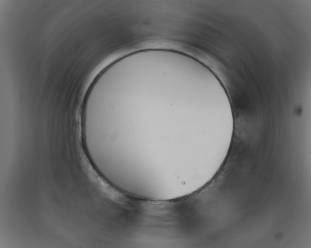 X0000093141150200709261419
