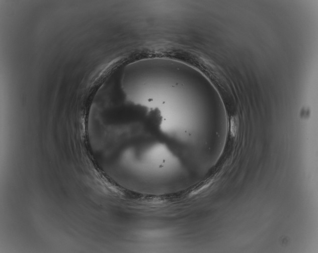 X0000093141155200709261419