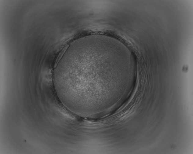X0000093141156200709261419