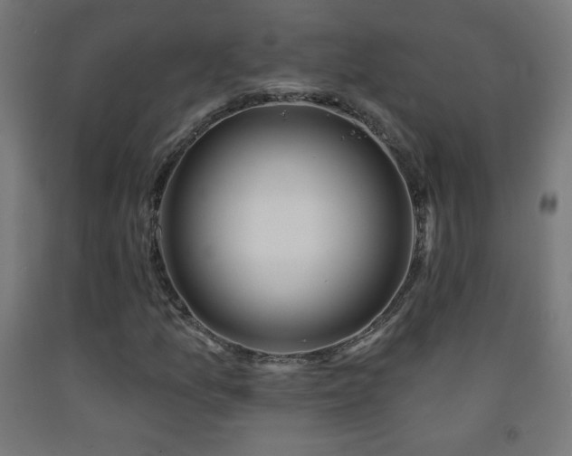 X0000093141157200709261419