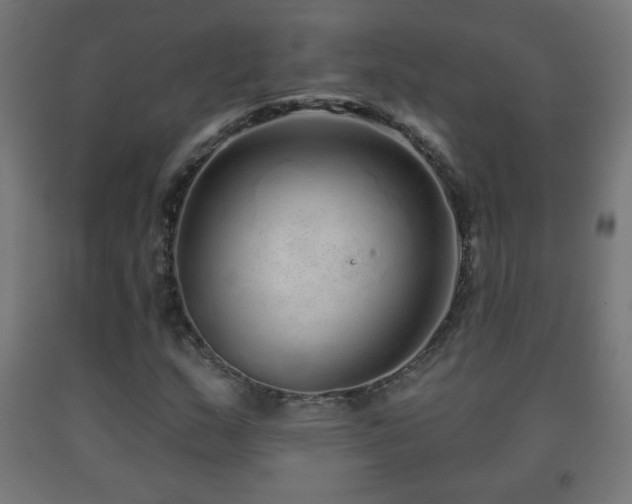 X0000093141159200709261419