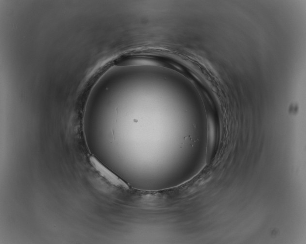 X0000093141160200709261419