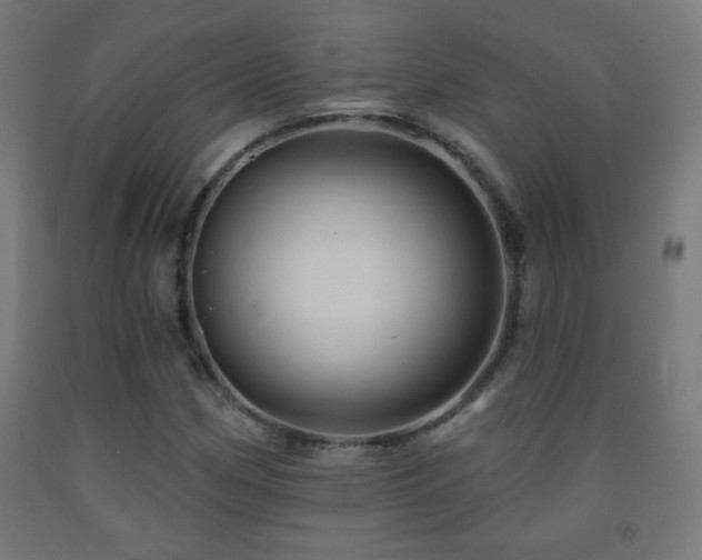 X0000093141162200709261419