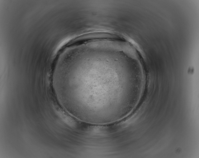 X0000093141163200709261419
