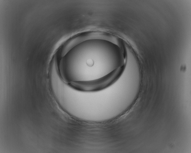 X0000093141168200709261418