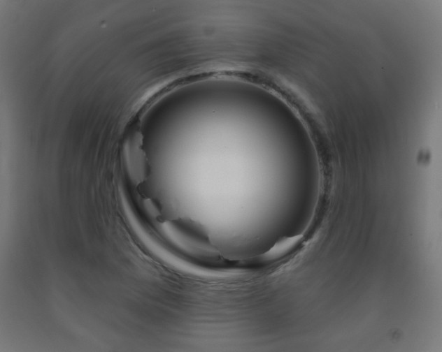 X0000093141169200709261418
