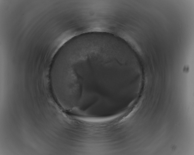 X0000093141170200709261418