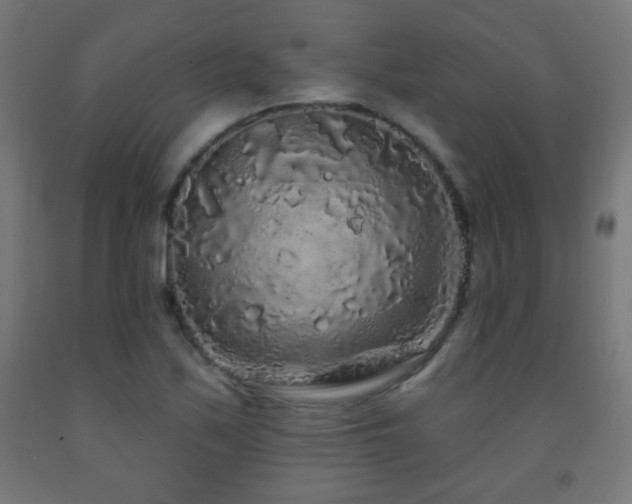 X0000093141171200709261418