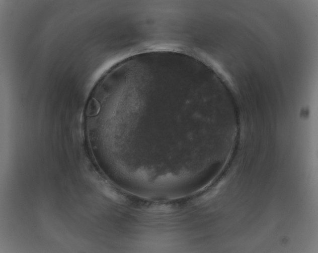 X0000093141174200709261418